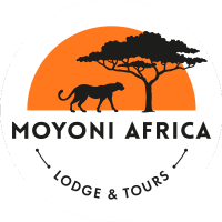 Monyoni Africa - Lodge & tours