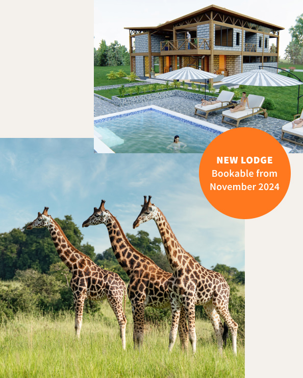 New Lodge - Bookable from November 2024